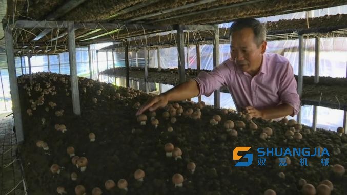 1662216414168478.jpg 519.jpg