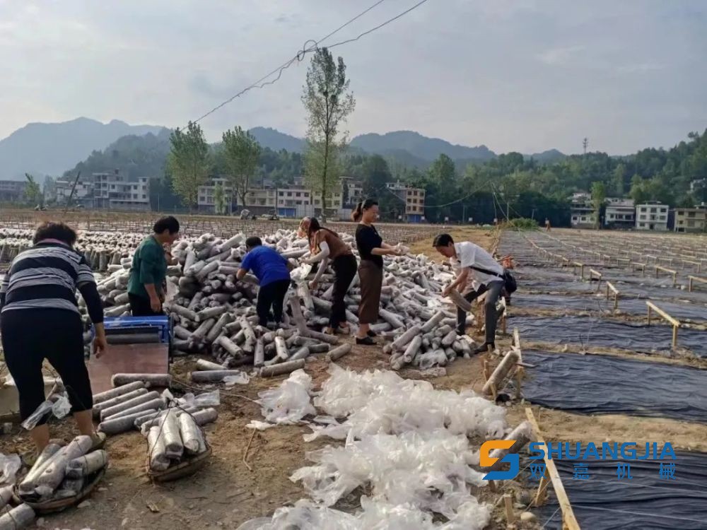 1662623012728304.jpg 1000 (2).jpg