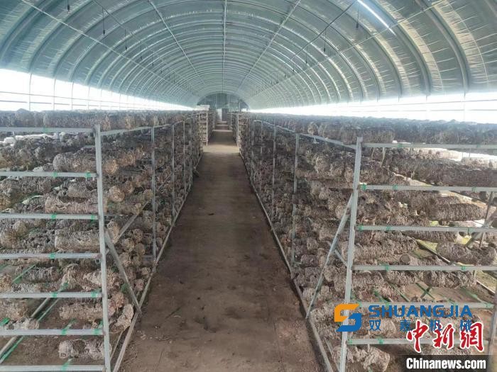 1664677887103596.jpg 1000.jpg