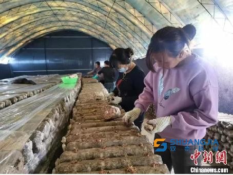 1674483001399743.jpg 18-19-38-54-281170.jpg