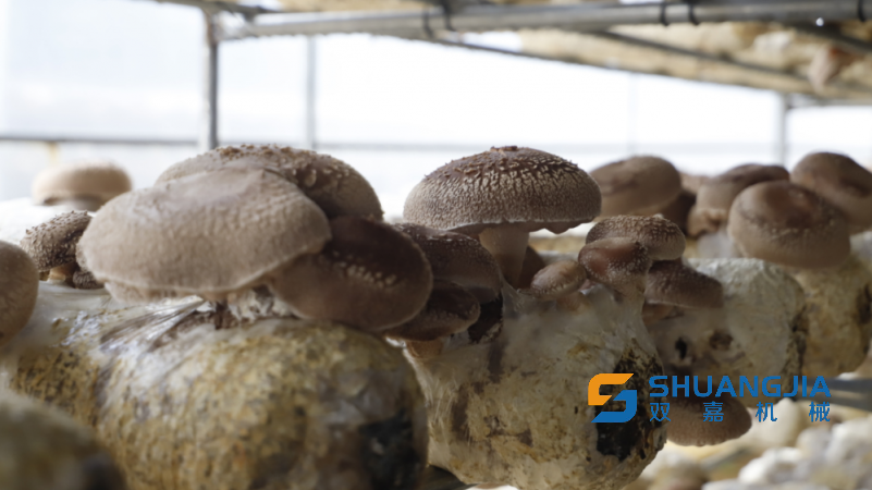 1680868141105518.png 10-54-27-95-451102.png